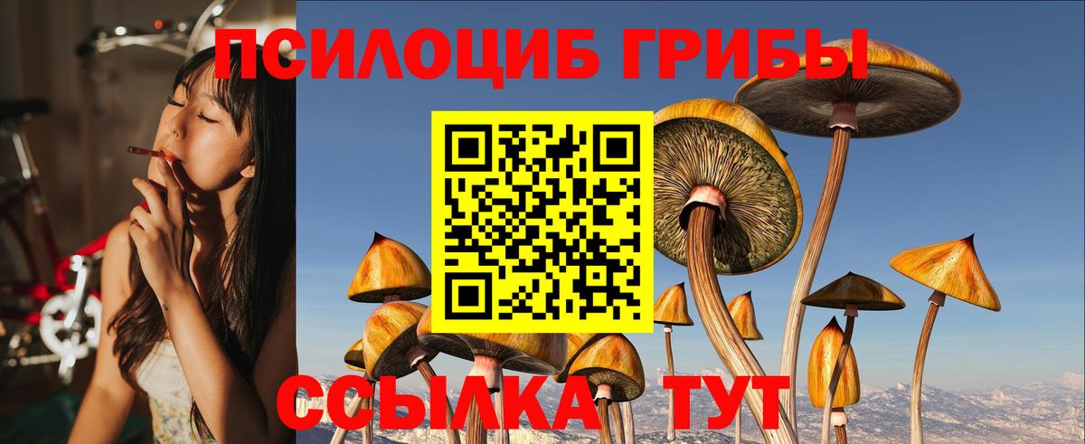 Псилоцибиновые грибы мицелий  Псилоцибиновые грибы Psilocybe  Нефтекамск 